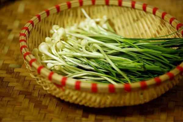 酸甜野葱的做法图解6