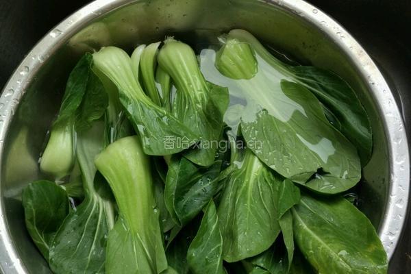 素炒油菜的做法图解2