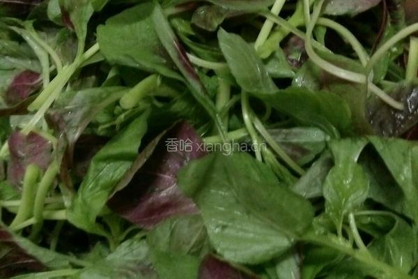 蒜粒红苋菜的做法图解5