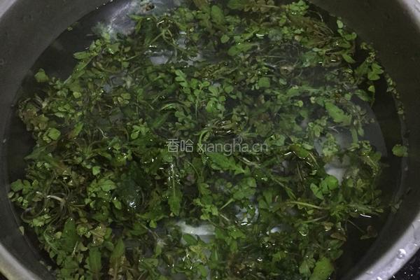 荠菜蛋饼的做法图解2