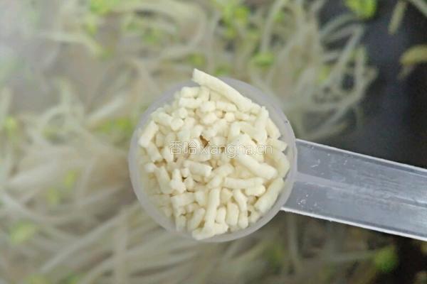肉丝豆芽菜的做法图解10