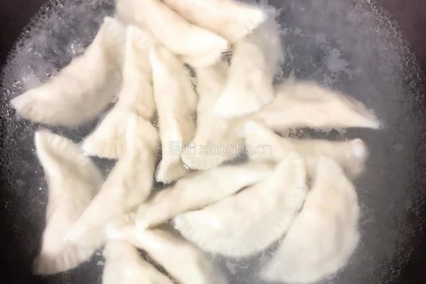 白菜鲜肉馅煎饺的做法图解5