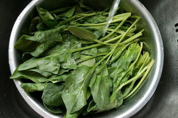 碧绿菠菜泥的做法图解1
