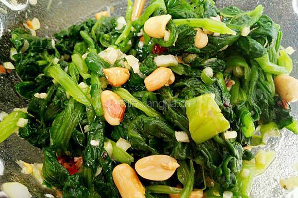 凉拌菠菜的做法图解5