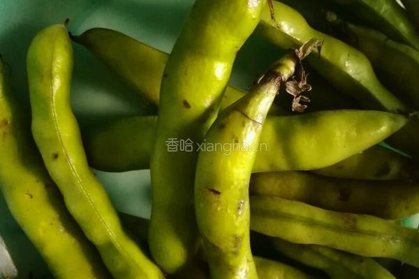 韭菜炒蚕豆的做法图解1