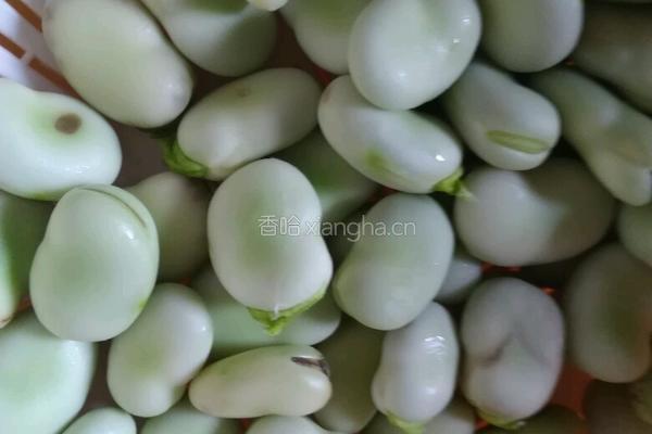 韭菜炒蚕豆的做法图解2