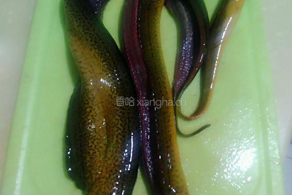 香辣鳝鱼的做法图解1
