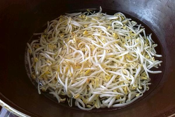 绿豆芽拌粉丝的做法图解2