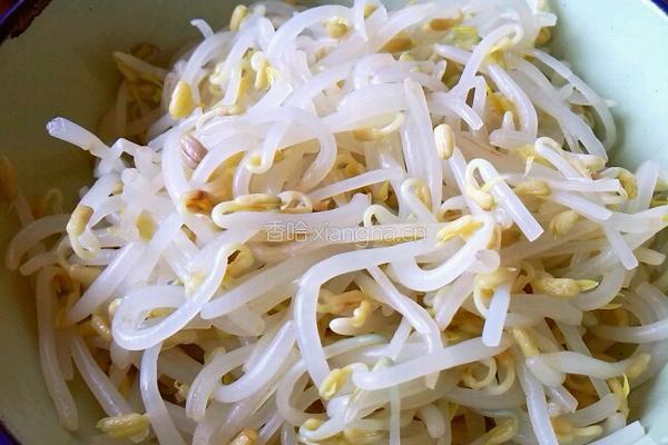 绿豆芽拌粉丝的做法图解3