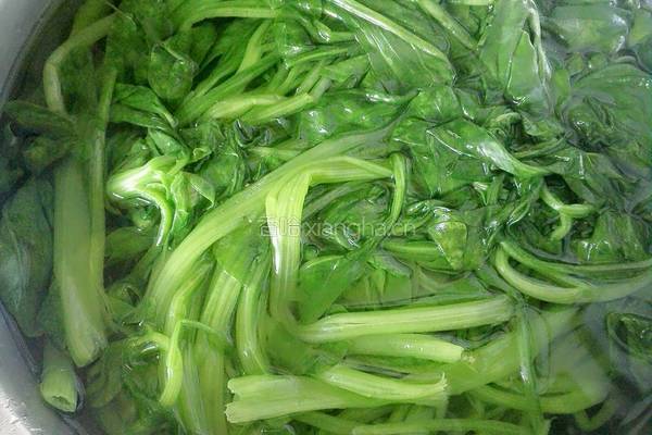 菠菜烩细粉的做法图解4