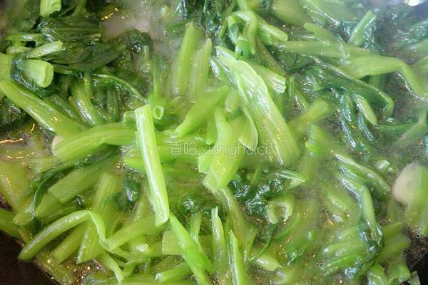 菠菜烩细粉的做法图解10