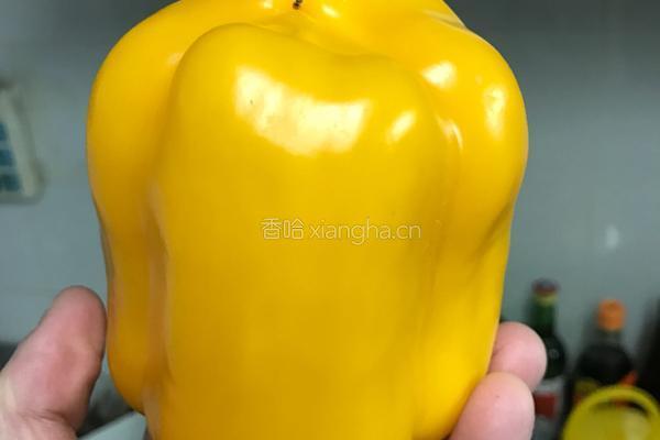 健康田园的做法图解2
