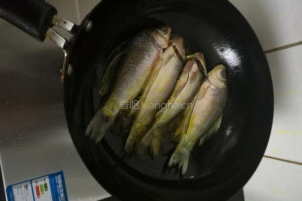 咸菜烧鲫鱼的做法图解9