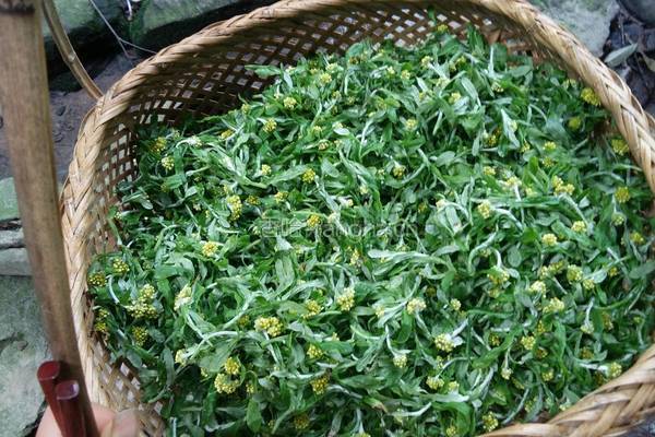 水密花糍粑的做法图解3