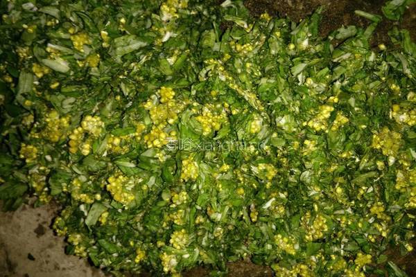 水密花糍粑的做法图解4