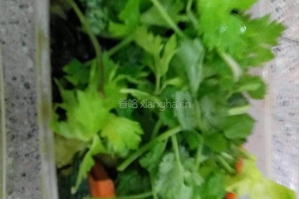 凉拌青瓜木耳胡萝卜的做法图解3