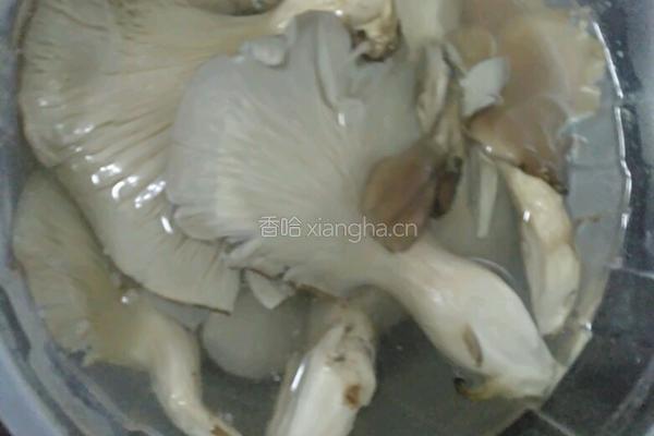 麻辣椒小炒的做法图解4