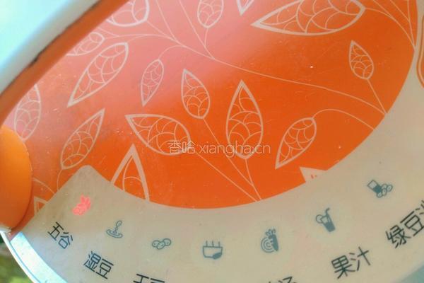 五谷豆浆的做法图解4