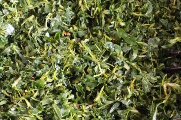 苜蓿菜卷卷的做法图解2