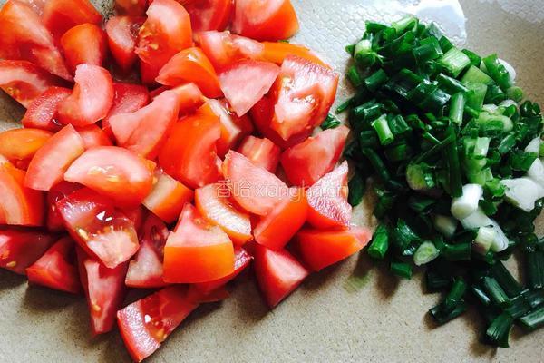 番茄牛肉氹仔粉的做法图解4