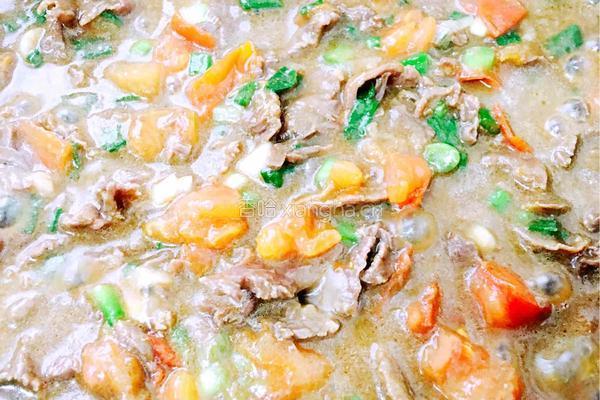 番茄牛肉氹仔粉的做法图解13