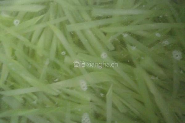 炝椒油莴笋丝的做法图解4