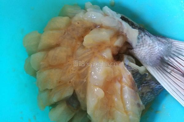 松鼠立鱼的做法图解9