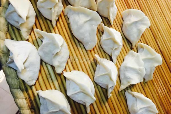 黄瓜鸡蛋饺的做法图解5