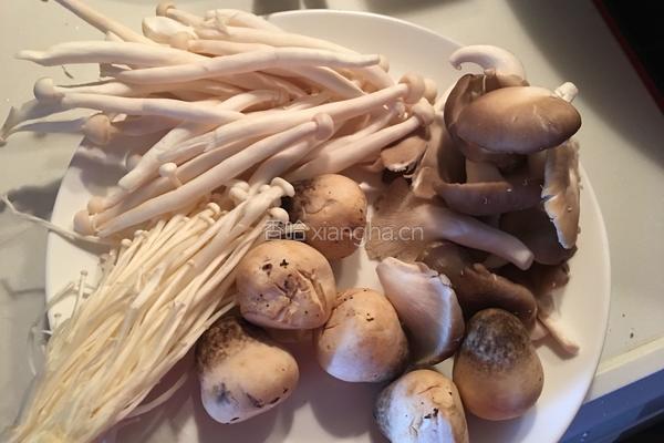 鲫鱼杂菇汤的做法图解2