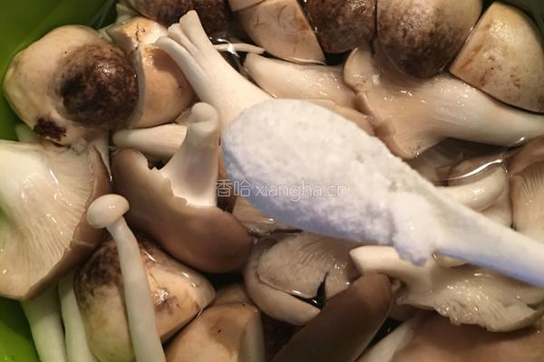鲫鱼杂菇汤的做法图解3