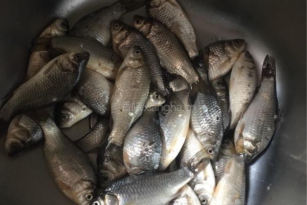 小鱼熬豆的做法图解2