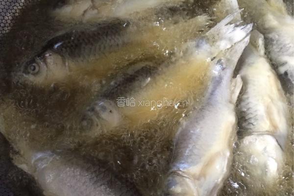 小鱼熬豆的做法图解7