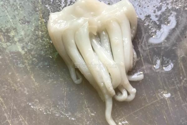 西蓝花炒鱿鱼的做法图解6