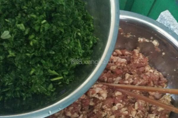 彩色荠菜饺子的做法图解14