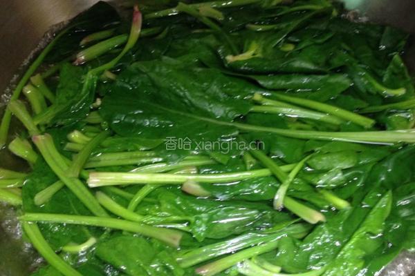 姜汁菠菜的做法图解3