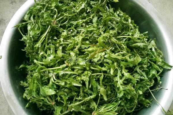 野生芥菜玉米团子的做法图解3