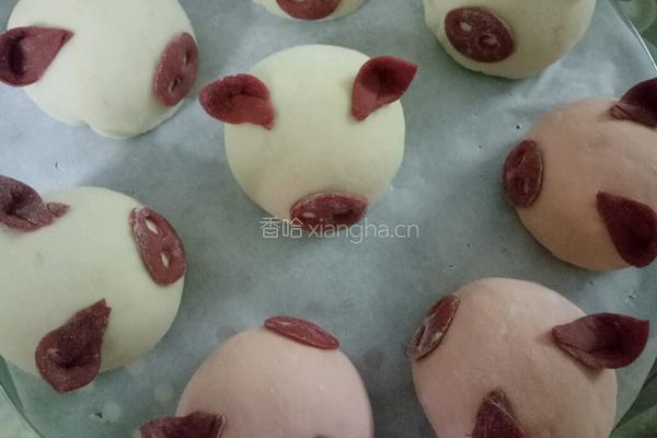 小猪豆沙包的做法图解15