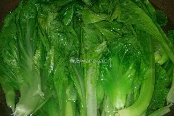 耗油芥菜的做法图解2