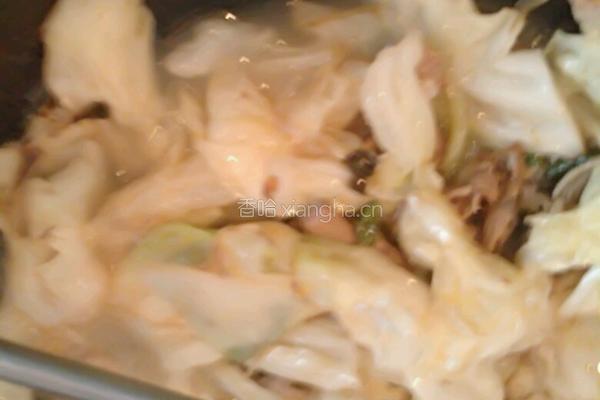 白菜猪肉炖粉条的做法图解6