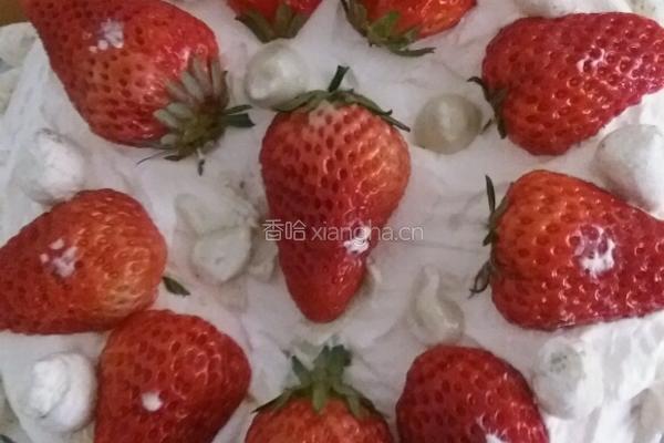 水果奶油蛋糕的做法图解9