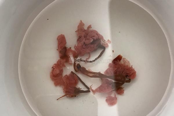 樱花茶的做法图解1