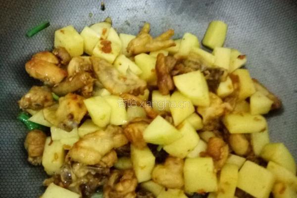 土豆焖鸡的做法图解8