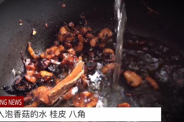 无油快手又好吃的 卤肉饭的做法图解15