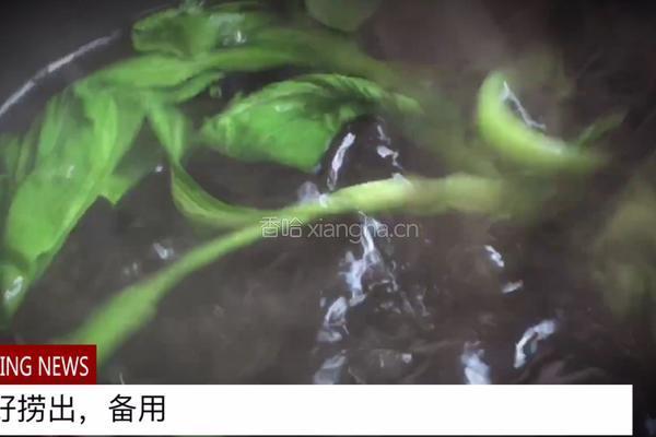 无油快手又好吃的 卤肉饭的做法图解25