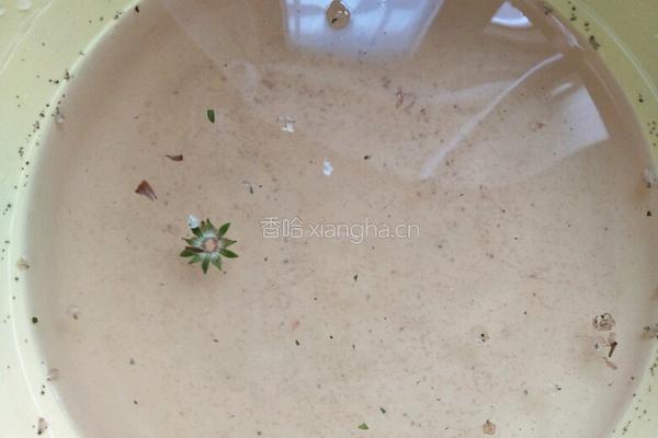 蜂蜜草莓酱的做法图解2