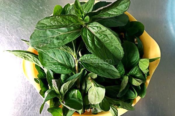 清香薄荷粥的做法图解1