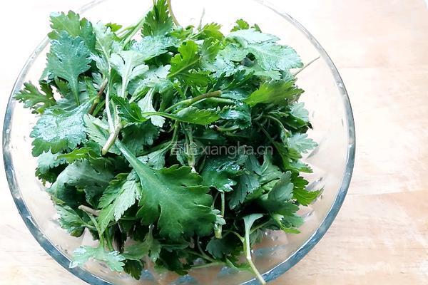 菊花脑蛋花汤的做法图解1