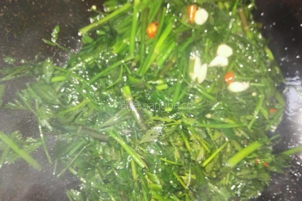 素炒水芹菜的做法图解4