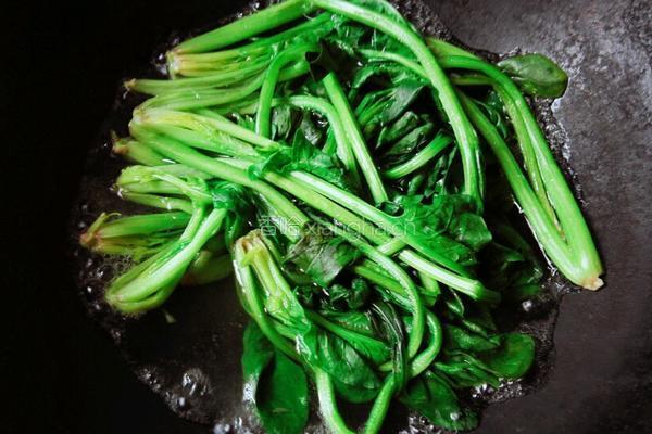 杂蔬鸡蛋馅饺子的做法图解3