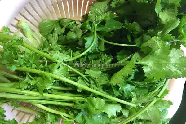 皮蛋拌香菜的做法图解1
